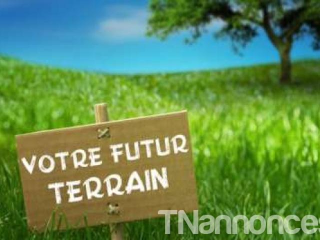 Terrain vente