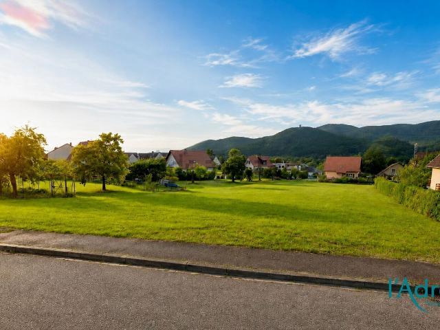 Terrain vente à Zimmerbach, Collectivité européenne d'Alsace