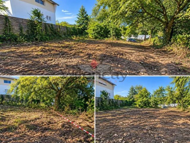 Terrain vente à Zimmersheim, Collectivité européenne d'Alsace