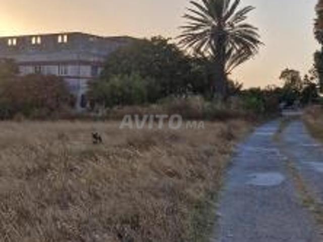 Propriété vente à Tangero, Tanger-Tétouan