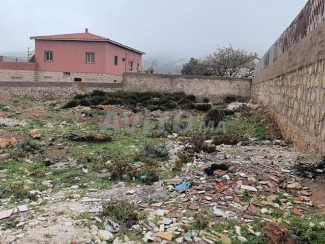 Propriété vente à Imouzzer Des Ida Ou Tanane, Oued ed Dahab-Lagouira