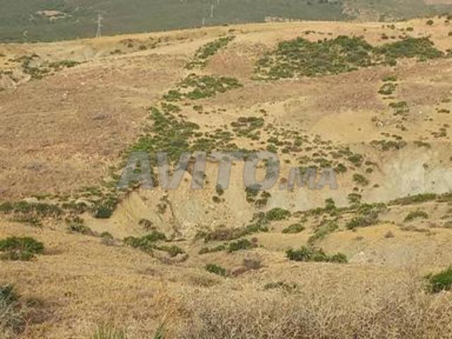 Propriété vente à Tanger طنجة, Préfecture de Tanger-Assilah عمالة طنجة-أصيلة