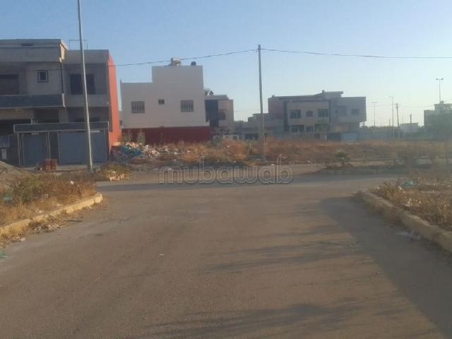 Terrain vente à Sidi Allal El Bahraoui
