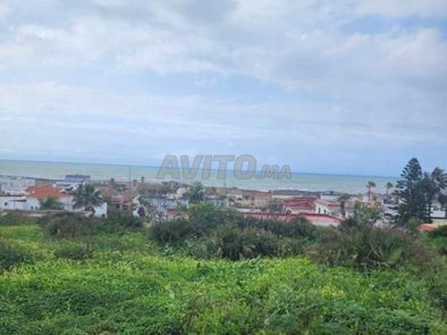 Propriété vente à Témara