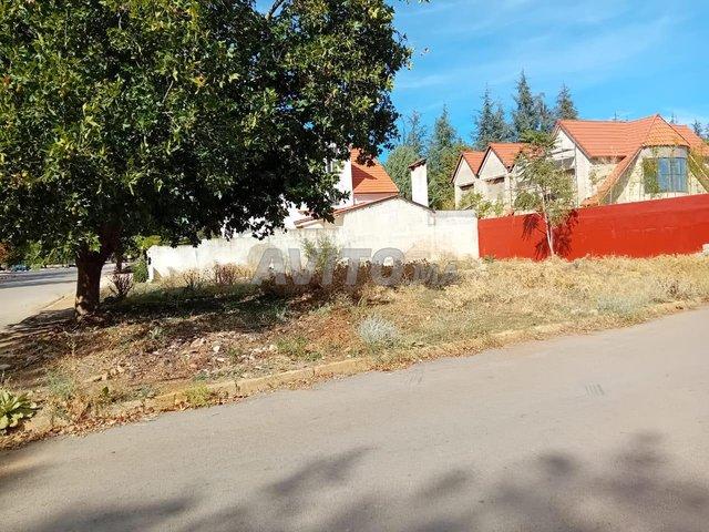 Propriété vente à Ifrane