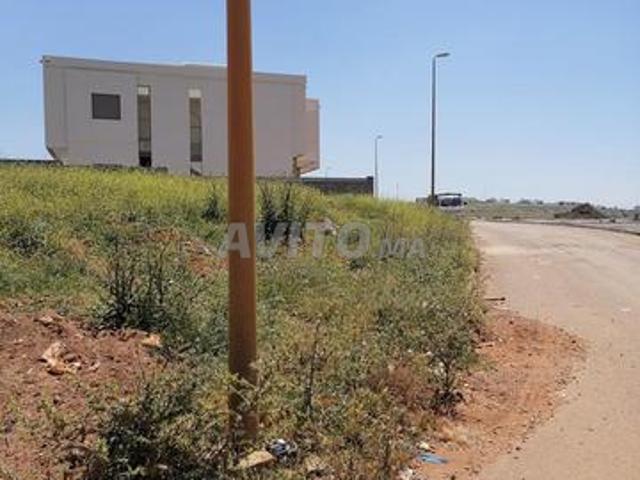 Propriété vente à Tamesna