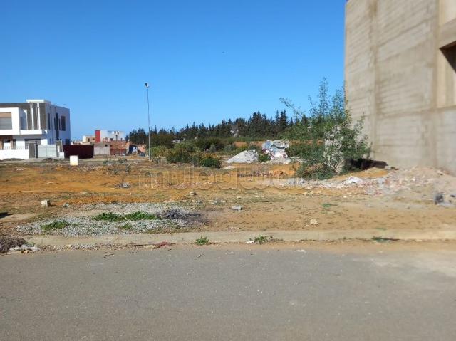 Terrain vente à Sidi Allal El Bahraoui