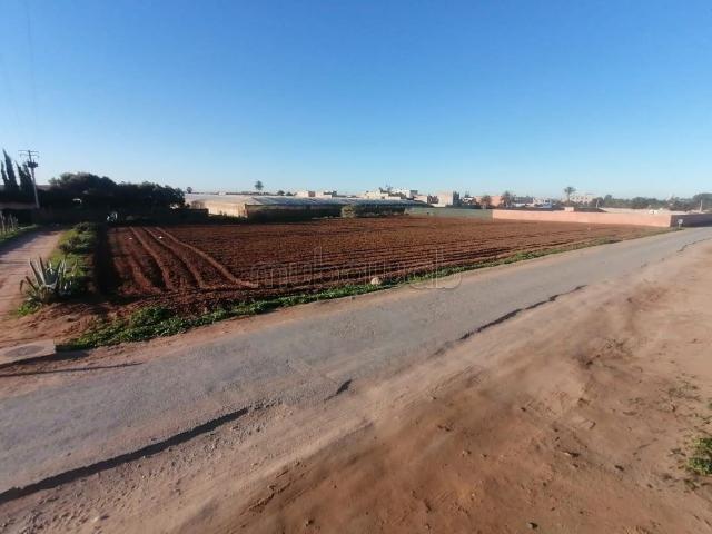 Terrain vente à Sidi Bidi, Oued ed Dahab-Lagouira