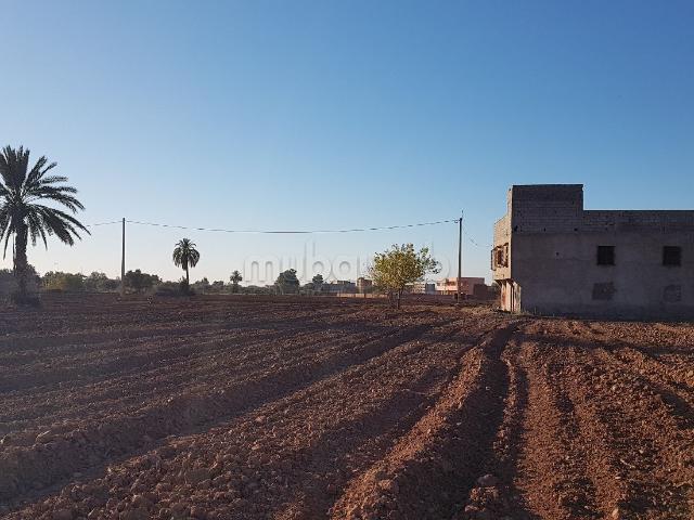 Ferme vente à Al Haouz, L'Oriental