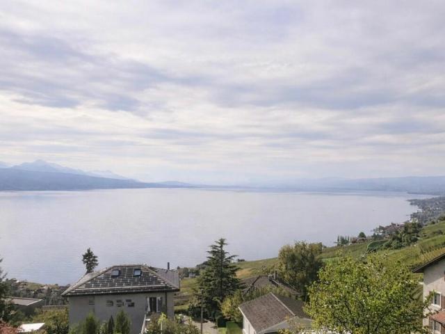 Immobilie kaufen in Bourg-en-Lavaux, Waadt