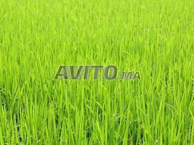 Propriété vente à Bouskoura, Gharb-Chrarda-Beni Hssen