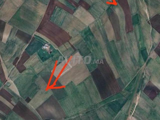 Propriété vente à Ras El Ain, L'Oriental