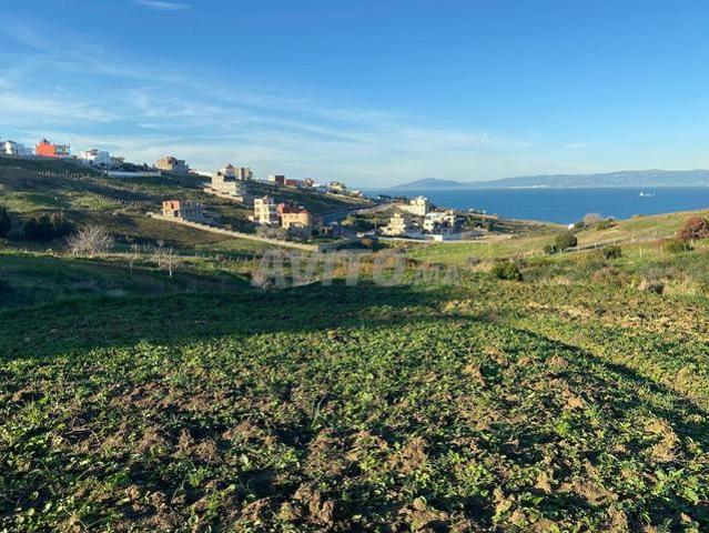 Propriété vente à El Fahs, Tanger-Tétouan