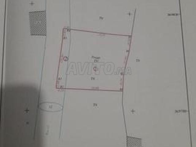 Propriété vente à Sidi Bidi, Oued ed Dahab-Lagouira