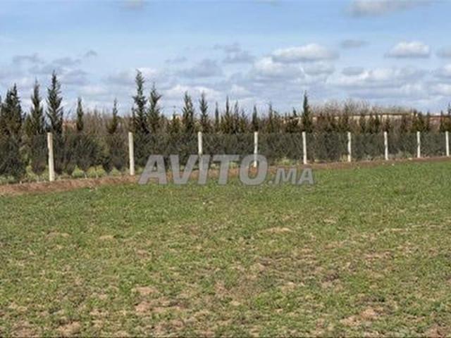 Propriété vente à El Ma, Gharb-Chrarda-Beni Hssen