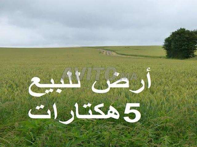 Propriété vente à El Ma, Gharb-Chrarda-Beni Hssen