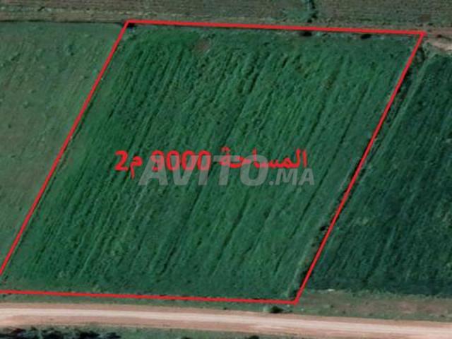 Propriété vente à El Ma, Gharb-Chrarda-Beni Hssen