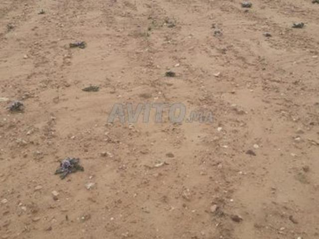 Propriété vente à Oued Zem