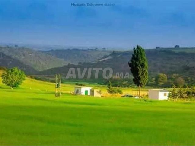 Propriété vente à Jebala, Tanger-Tétouan