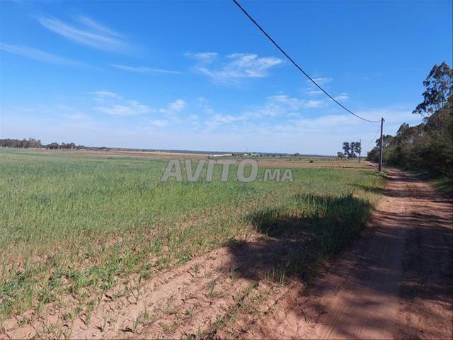 Propriété vente à El Ma, Gharb-Chrarda-Beni Hssen