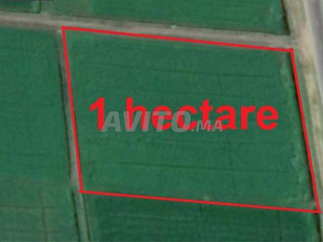 Propriété vente