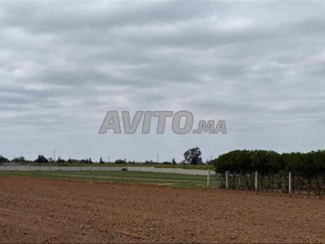 Propriété vente à El Ma, Gharb-Chrarda-Beni Hssen
