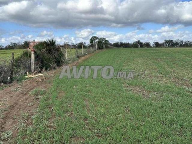 Propriété vente à El Ma, Gharb-Chrarda-Beni Hssen