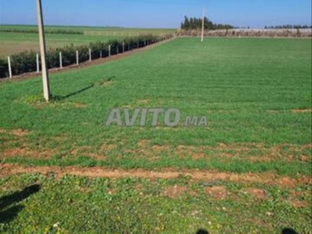 Propriété vente à El Ma, Gharb-Chrarda-Beni Hssen