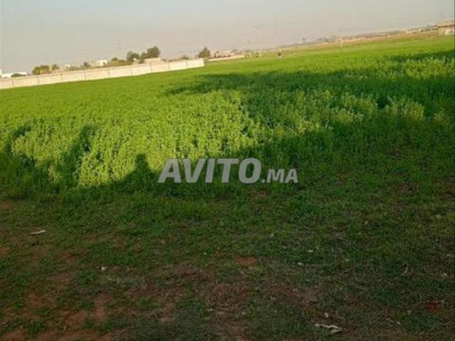 Propriété vente à El Ma, Gharb-Chrarda-Beni Hssen