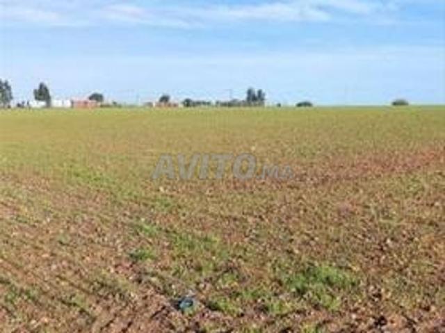 Propriété vente à Ait Ouallal