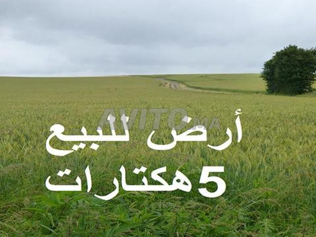 Propriété vente à El Ma, Gharb-Chrarda-Beni Hssen