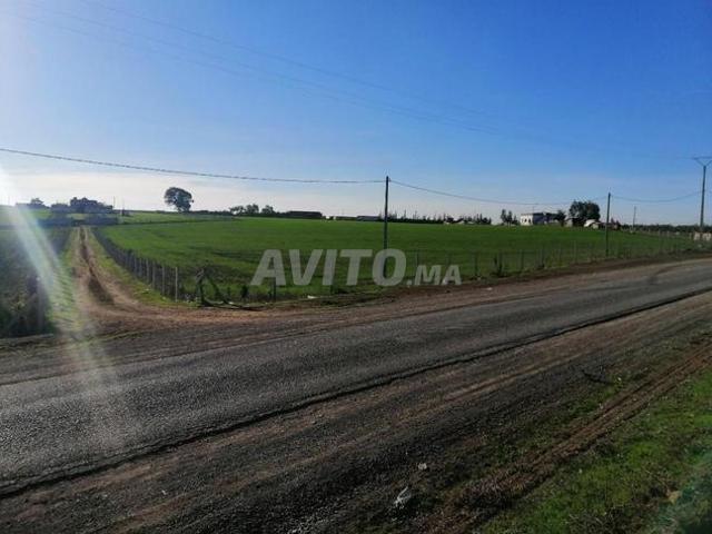 Propriété vente à Rbat
