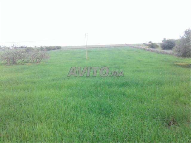 Propriété vente à El Ma, Gharb-Chrarda-Beni Hssen