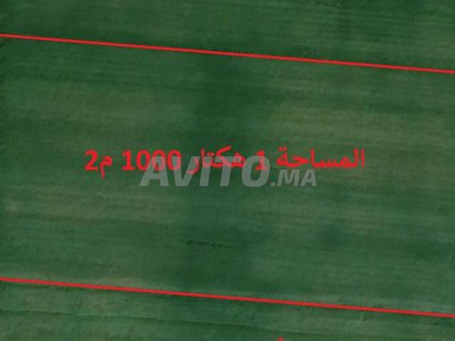 Propriété vente à El Ma, Gharb-Chrarda-Beni Hssen