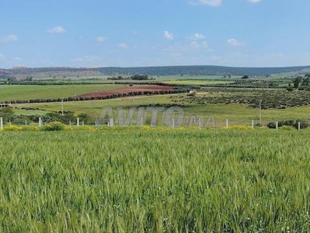Propriété vente à El Ma, Gharb-Chrarda-Beni Hssen