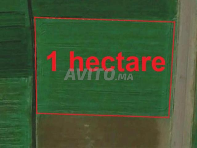 Propriété vente à El Ma, Gharb-Chrarda-Beni Hssen