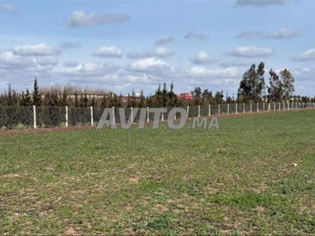 Propriété vente à El Ma, Gharb-Chrarda-Beni Hssen