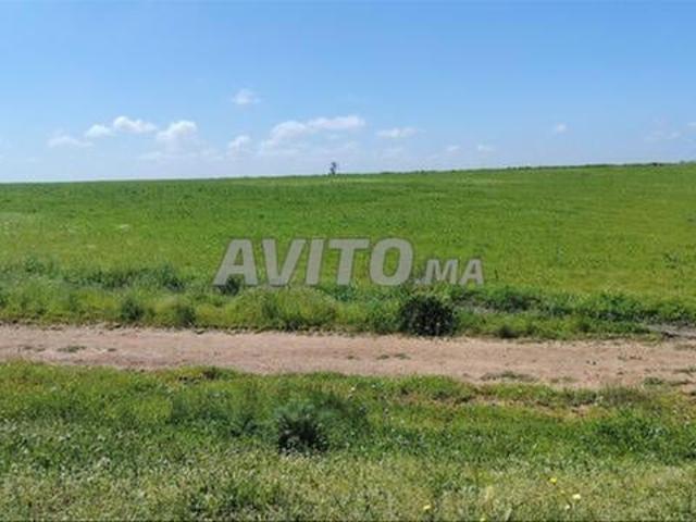 Propriété vente à El Ma, Gharb-Chrarda-Beni Hssen
