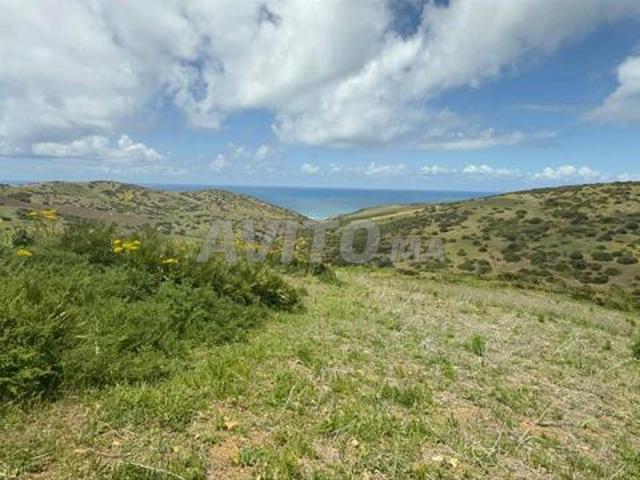 Propriété vente à Assilah, Tanger-Tétouan