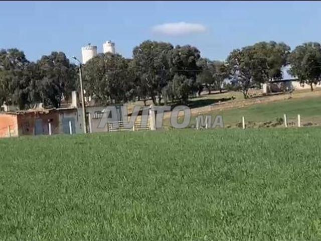 Propriété vente à El Ma, Gharb-Chrarda-Beni Hssen