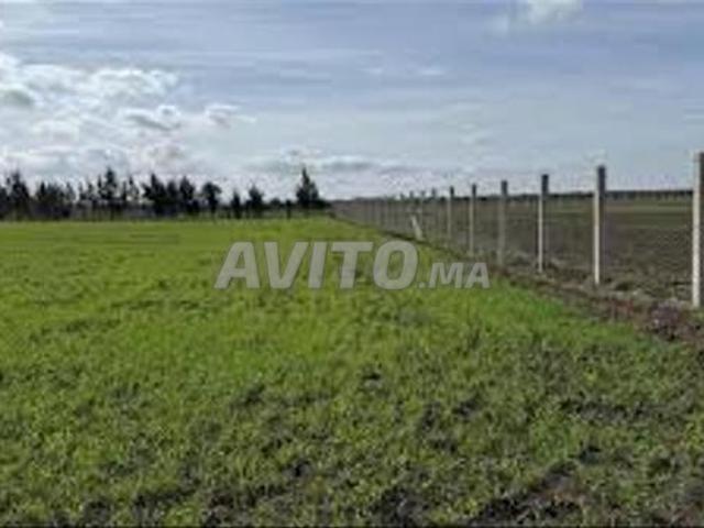 Propriété vente à El Ma, Gharb-Chrarda-Beni Hssen