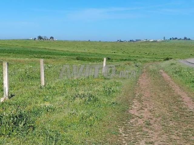Propriété vente à El Ma, Gharb-Chrarda-Beni Hssen