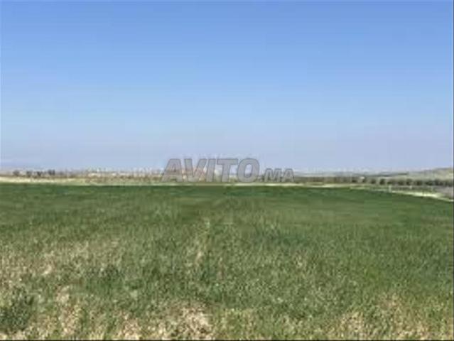 Propriété vente à El Ma, Gharb-Chrarda-Beni Hssen