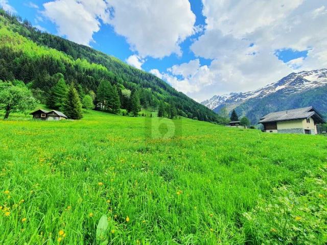 Immobilie kaufen in Trient, Wallis