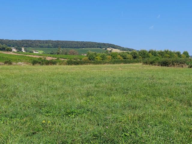Terrain vente à Chalon-sur-Saône, Chenôves