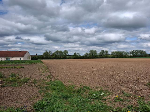 Terrain vente à Chalon-sur-Saône, Ciel