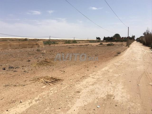 Propriété vente à Oued ed Dahab-Lagouira
