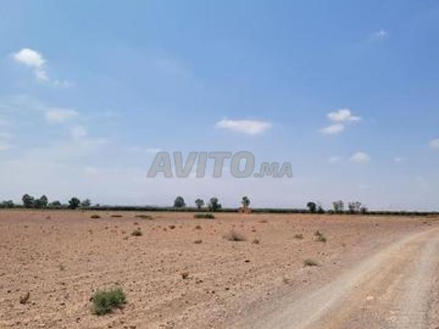 Propriété vente à Préfecture de Marrakech عمالة مراكش, Marrakech-Safi ⵎⵕⵕⴰⴽⵛ-ⴰⵙⴼⵉ مراكش-أسفي