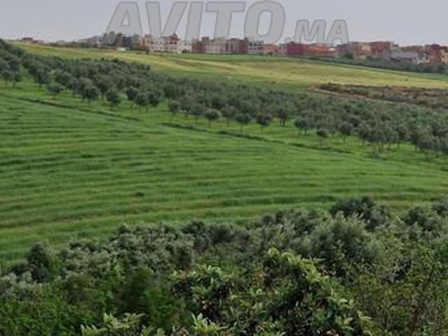 Propriété vente à Meknès
