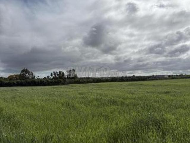 Propriété vente à El Ma, Gharb-Chrarda-Beni Hssen
